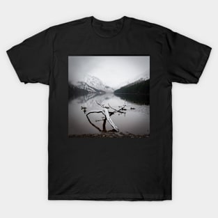 Glendalough Ducks T-Shirt